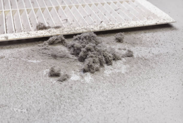 Best Home Air Vent Cleaning  in Cerro Gordo, IL