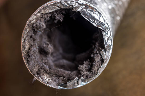 Best Commercial Air Duct Cleaning  in Cerro Gordo, IL